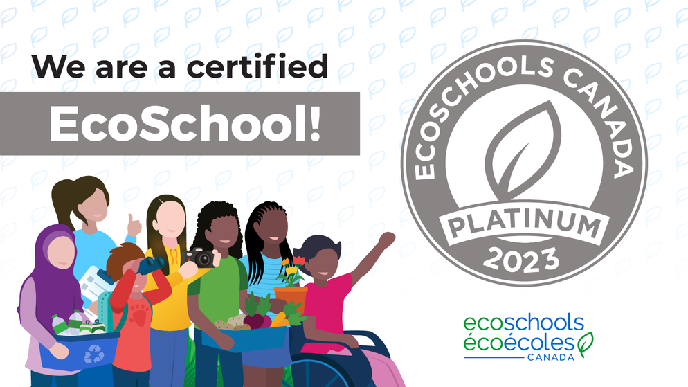 2023 eco Platinum graphic